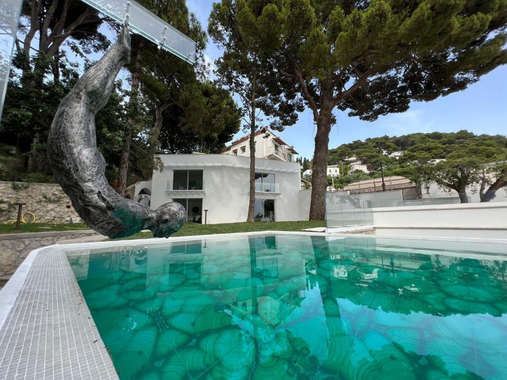 Piscina Privata Hotel La Scalinatella Capri